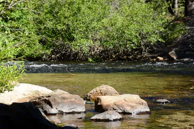 DSC_9894 (Large).JPG